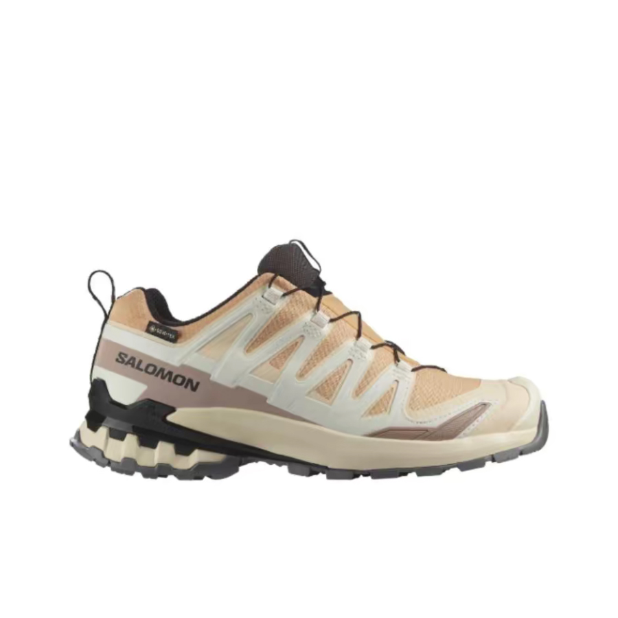 Salomon XA Pro 3D V9 GTX: Una  - Salomon Shoes Xa Pro 3D recensione e prezzo